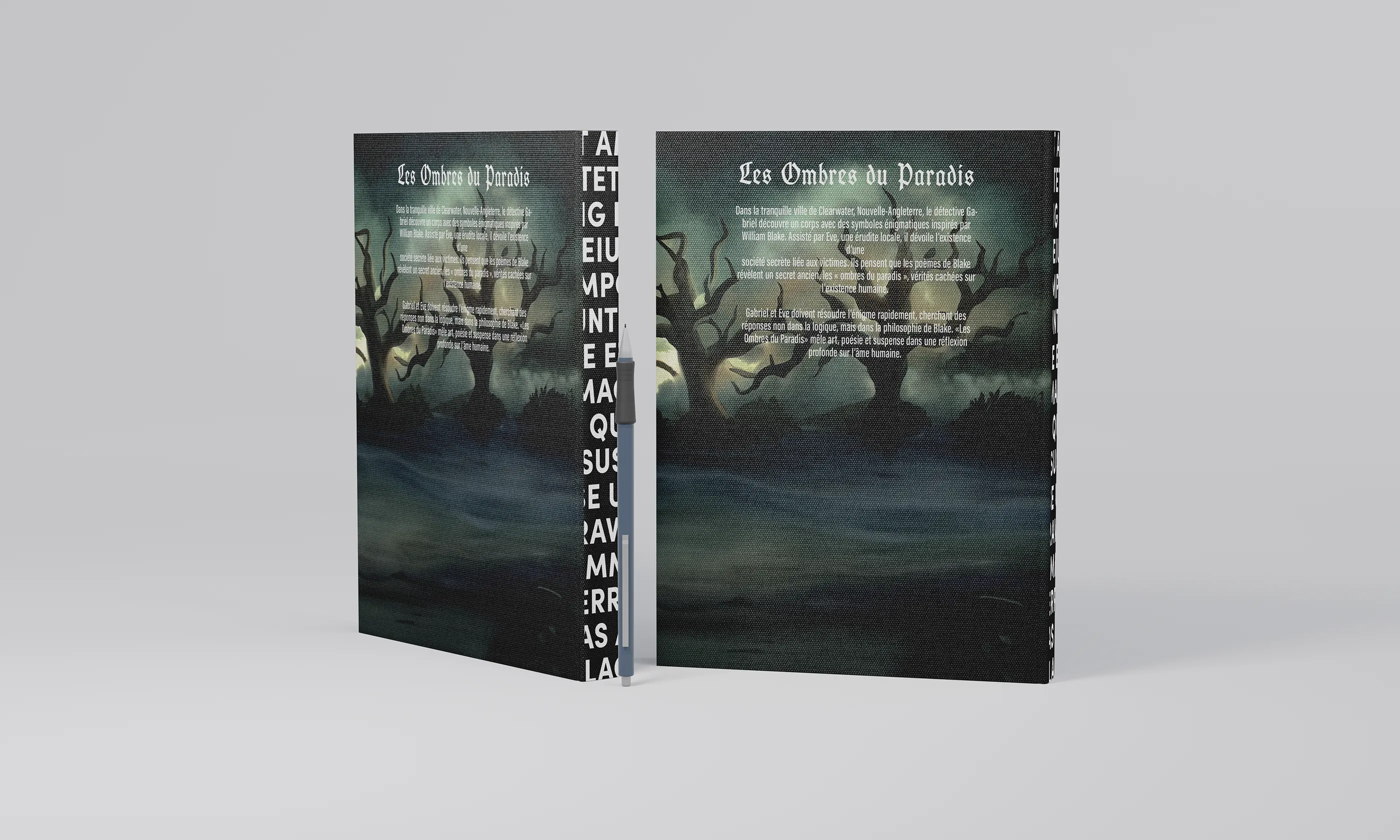 Planche de la bande dessinée Les Ombres Du Paradis